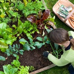 Master-Gardeners-Penn-State