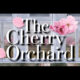 The-Cherry-Orchard